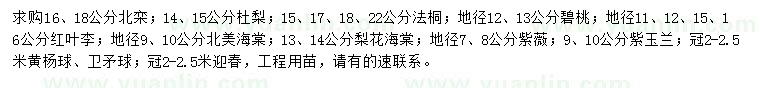 求購北欒、杜梨、法桐等