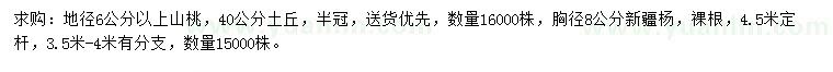 求購地徑6公分以上山桃、胸徑8公分新疆楊