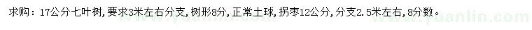 求購17公分七葉樹、12公分拐棗