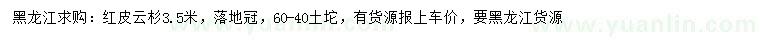 求購3.5米紅皮云杉