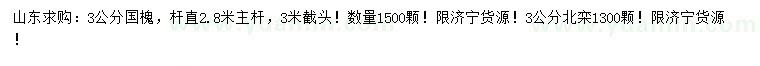 求購3公分國槐