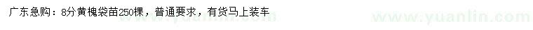 求購(gòu)8分黃槐袋苗