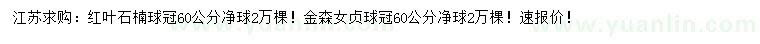 求購冠60公分紅葉石楠球、金森女貞球
