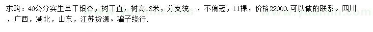 求購40公分銀杏
