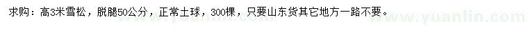 求購高3米雪松