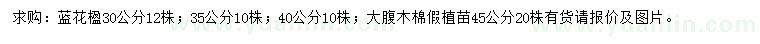 求購30、35、40公分藍(lán)花楹、45公分大腹木棉假植苗