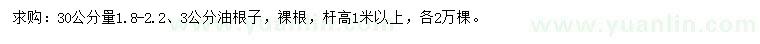 求購30公分量1.8-2.2、3公分流蘇苗（油根子）