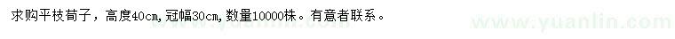 求購(gòu)高40公分平枝荀子