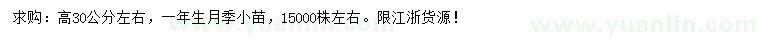 求購(gòu)高30公分左右一年生月季小苗