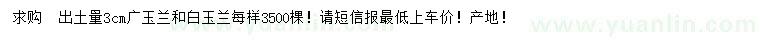 求購3公分廣玉蘭、白玉蘭