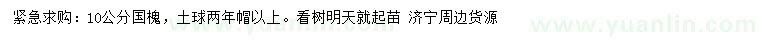 求購10公分國槐