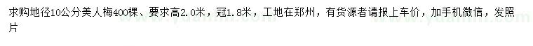 求購(gòu)地徑10公分美人梅