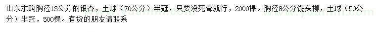 求購胸徑13公分銀杏、8公分饅頭柳