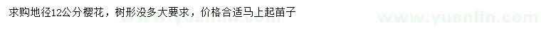 求購(gòu)地徑12公分櫻花