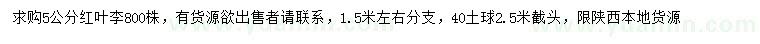 求購(gòu)5公分紅葉李