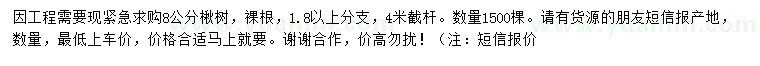 求購8公分楸樹