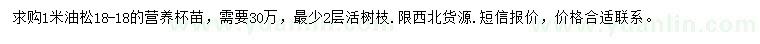 求購1米油松