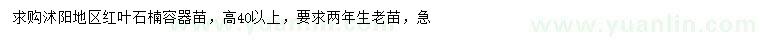 求購高40公分以上紅葉石楠