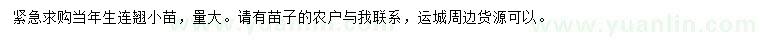 求購當(dāng)年生連翹小苗