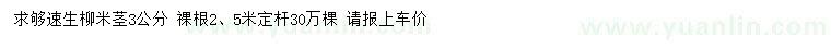 求購米徑3公分速生柳