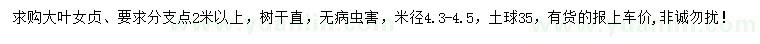 求購米徑4.3-4.5公分大葉女貞