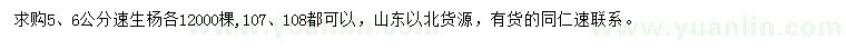 求購5、6公分速生楊