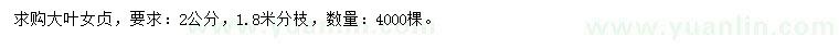 求購2公分大葉女貞