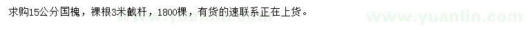 求購15公分國槐