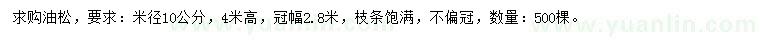 求購米徑10公分油松
