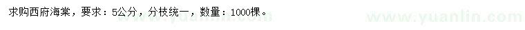 求購5公分西府海棠