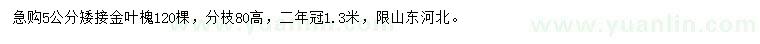 求購5公分矮接金葉槐