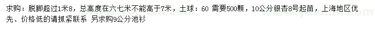 求購10公分銀杏、9公分池杉