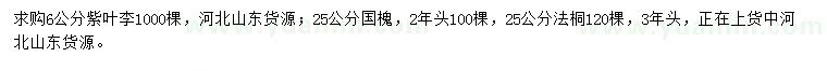 求購紫葉李、國(guó)槐、法桐等
