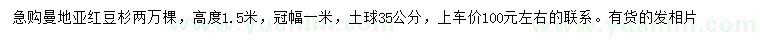 求購高1.5米曼地亞紅豆杉