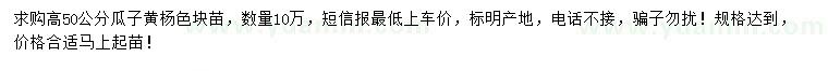求購(gòu)高50公分瓜子黃楊