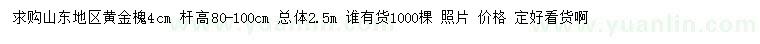 求購4公分黃金槐