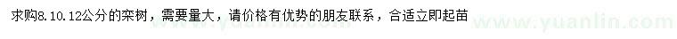 求購8、10、12公分欒樹