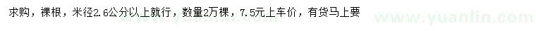 求購米徑2.6公分以上楓香