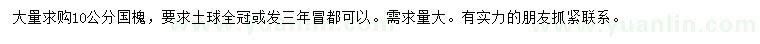 求購10公分國槐