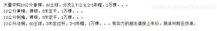 求購垂柳、黃柳、刺槐等
