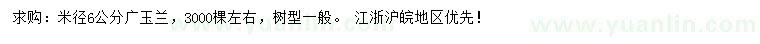 求購米徑6公分廣玉蘭