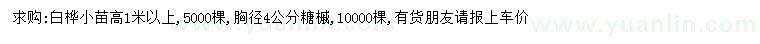 求購高1米以上白樺、胸徑4公分糖槭