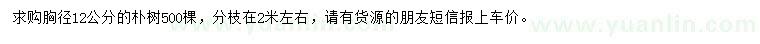 求購(gòu)胸徑12公分樸樹