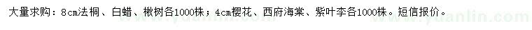 求購(gòu)法桐、白蠟、楸樹等