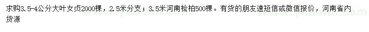 求購3.5-4公分大葉女貞、3.5米河南檜柏