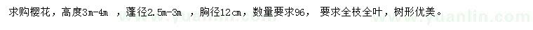 求購(gòu)高3-4米櫻花