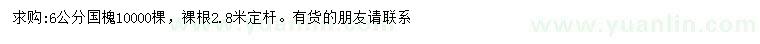 求購6公分國槐
