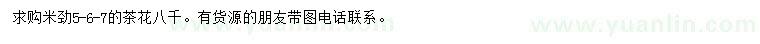 求購米徑5、6、7公分茶花