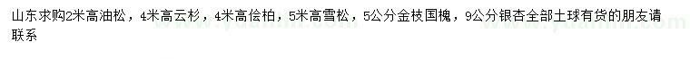 求購(gòu)油松、云杉、檜柏等