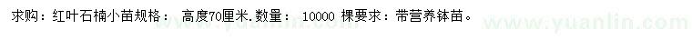 求購高70公分紅葉石楠